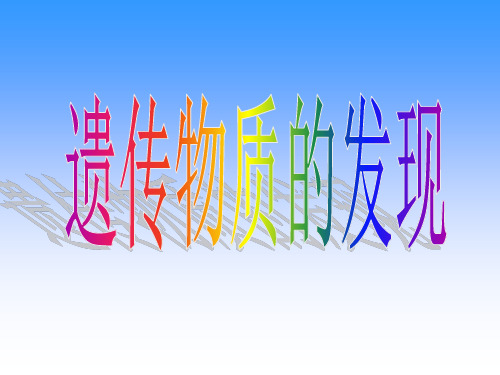 遗传物质的发现ppt