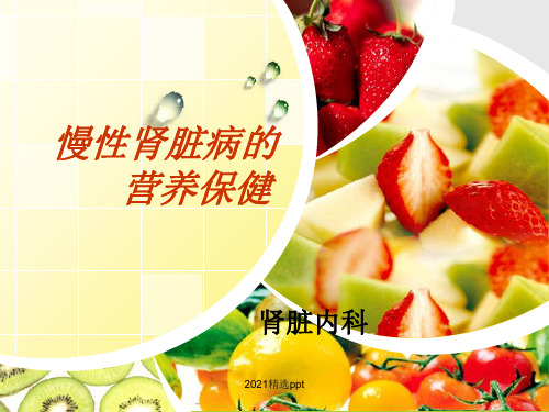 慢性肾脏病的营养疗法ppt课件