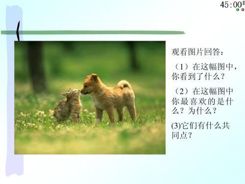 第八课 课时一 神奇的生命世界