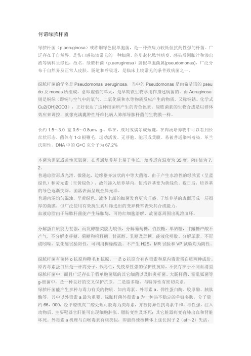 何谓绿脓杆菌