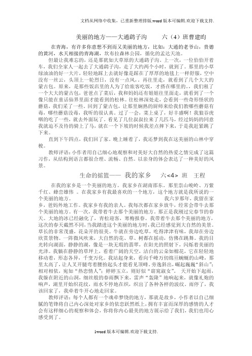 西宁市育才学校六年级学生作文美丽的家乡)