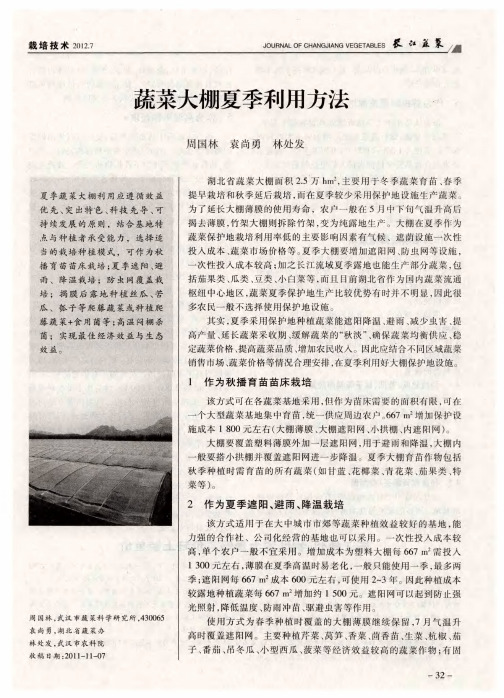 蔬菜大棚夏季利用方法