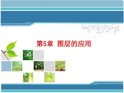 《平面设计与制作》 教学课件 第5章
