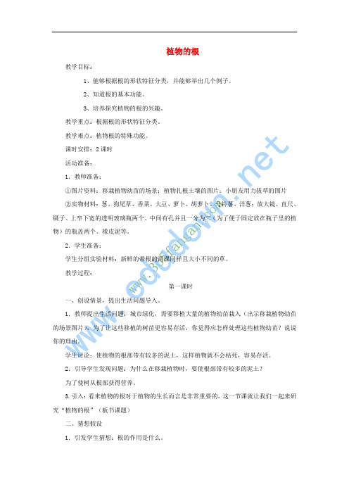 四年级科学上册 植物的根教案2 青岛版