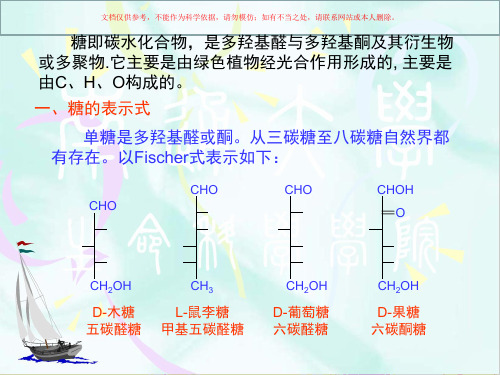 碳水化合物代谢课件