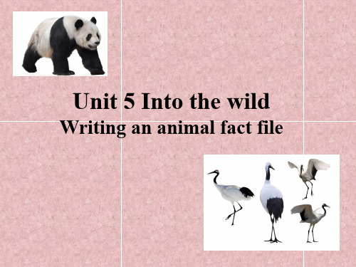 【课件】新外研版 必修一 Unit 5 Into the wild- W