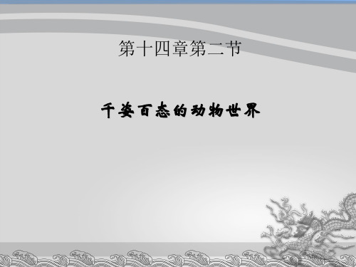 苏教版初中生物八上5. 14.2千姿百态的动物世界 课件  (共27张PPT)