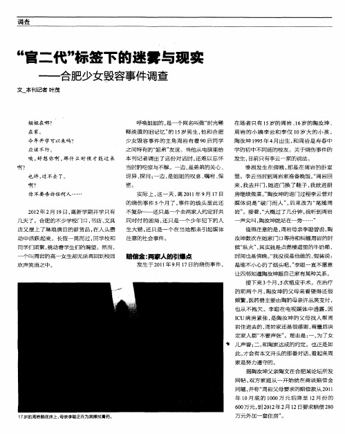 “官二代”标签下的迷雾与现实——合肥少女毁容事件调查