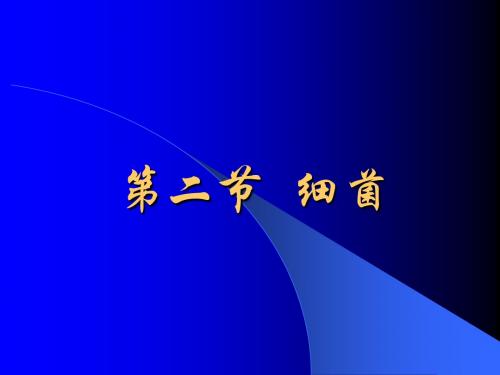 4.2细菌 课件2(生物人教版八年级上册)