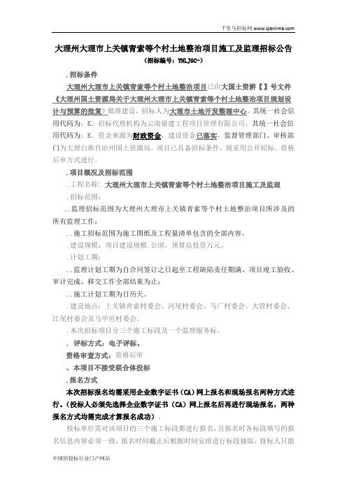 土地整治项目招投标书范本