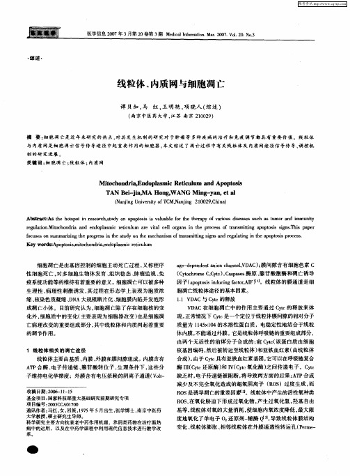 线粒体、内质网与细胞凋亡