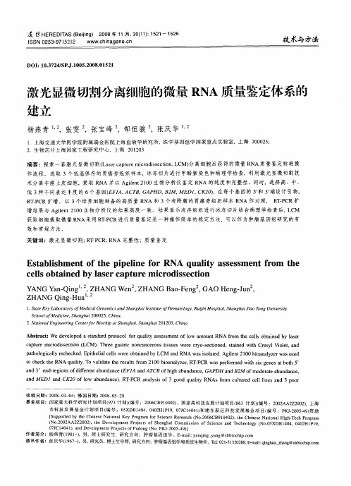 激光显微切割分离细胞的微量RNA质量鉴定体系的建立