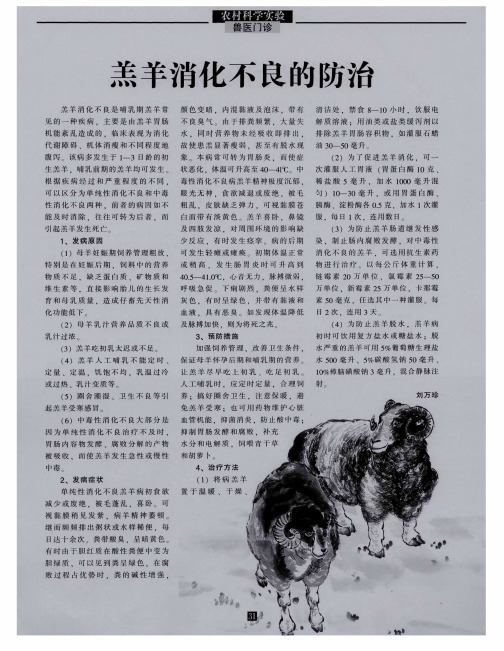 羔羊消化不良的防治