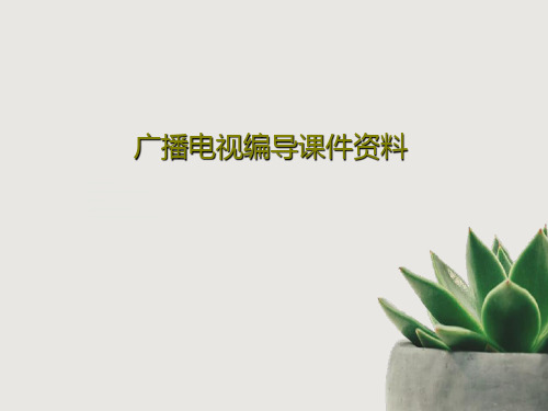 广播电视编导课件资料113页PPT