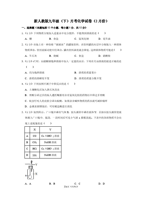 新人教版九年级(下)月考化学试卷(2月份)