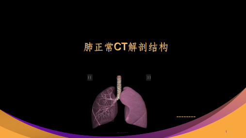 肺部正常CT解剖