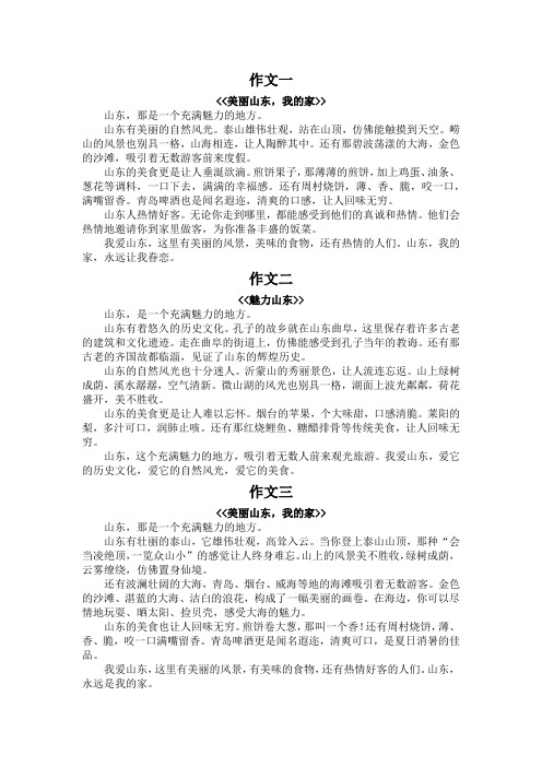 山东的作文300字以上