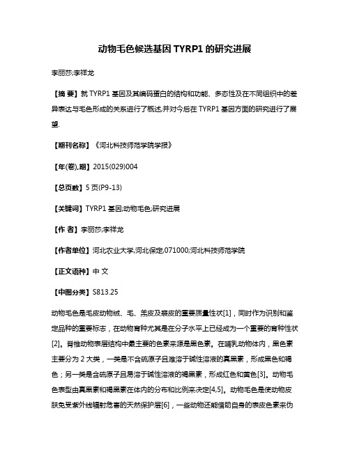 动物毛色候选基因TYRP1的研究进展