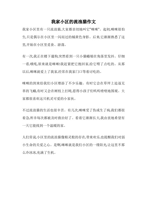 我家小区的流浪猫作文