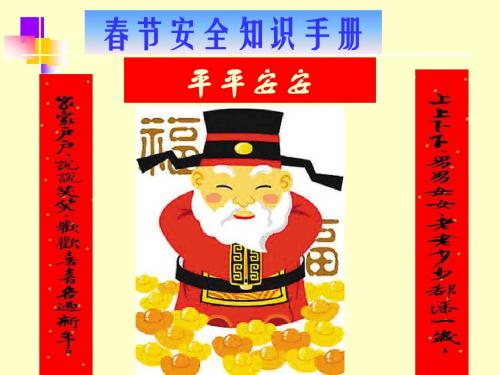 春节安全手册