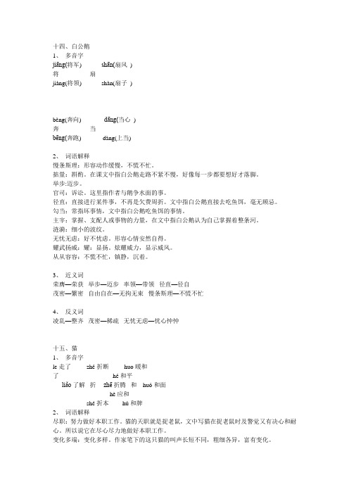 四年级上册语文重点词语解析