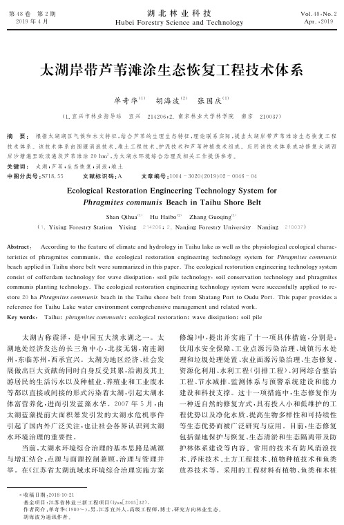 太湖岸带芦苇滩涂生态恢复工程技术体系