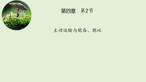 4.2 主动运输与胞吞、胞吐