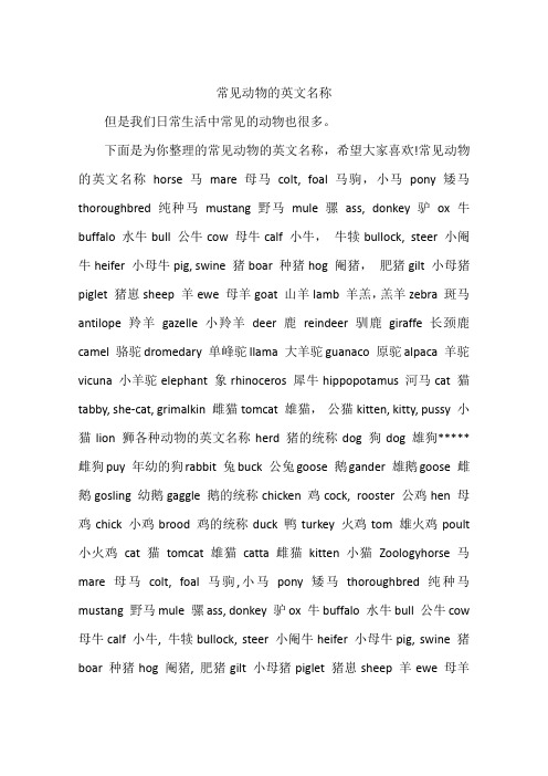 常见动物的英文名称