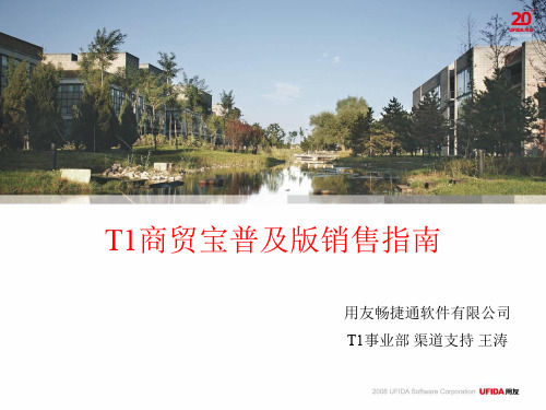 T1普及版销售指南