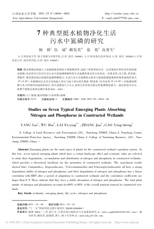 7 种典型挺水植物净化生活 污水中氮磷的研究