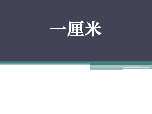 苏教版九年级语文下册《一厘米》PPT课件(5篇)