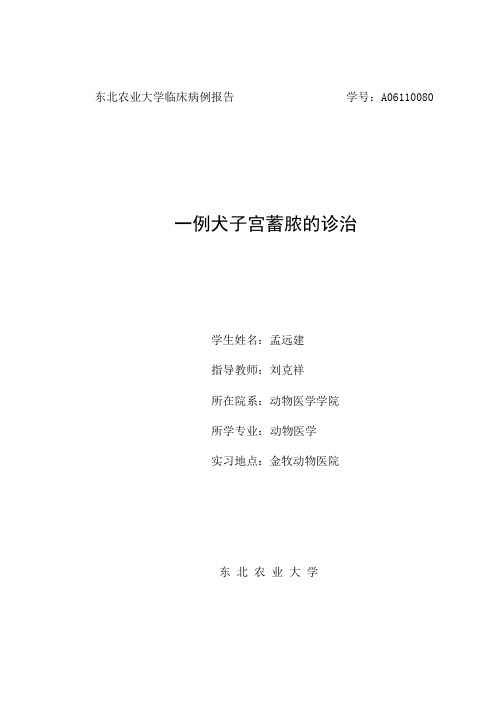 犬子宫蓄脓-病例报告(2)