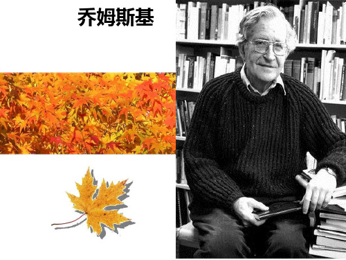 乔姆斯基介绍 PPT