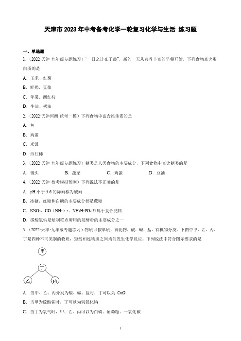 天津市2023年中考备考化学一轮复习化学与生活 练习题(含解析)