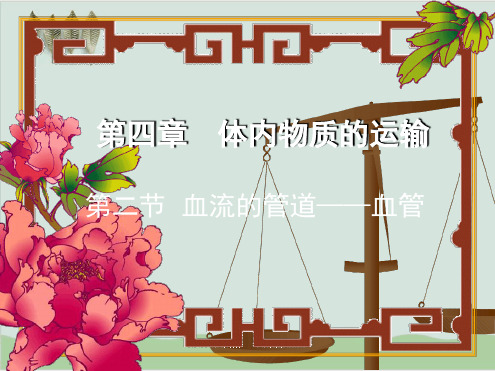 血流的管道血管课件 人教版