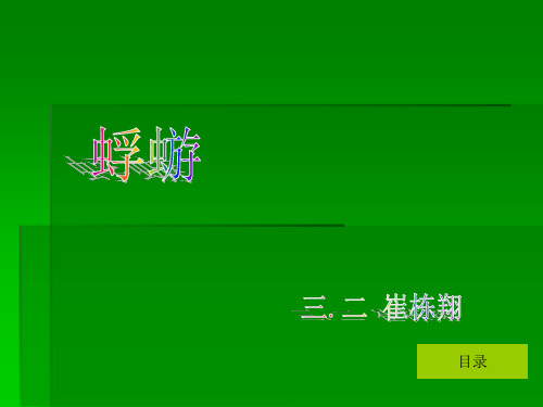 蜉蝣