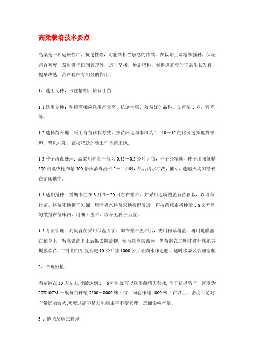 高梁栽培技术要点