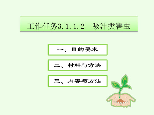 吸汁类害虫.ppt