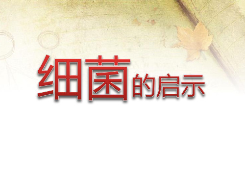 北师大版八年级语文下册《细菌的启示》PPT课件(002)