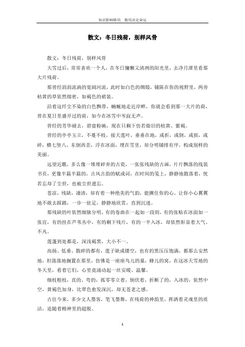 散文：冬日残荷,别样风骨