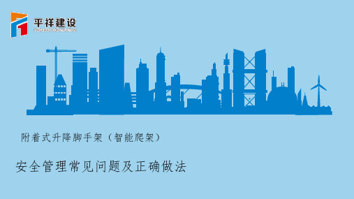 爬架专项检查汇总(课堂PPT)