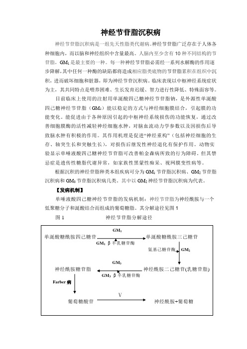 神经节苷脂沉积病