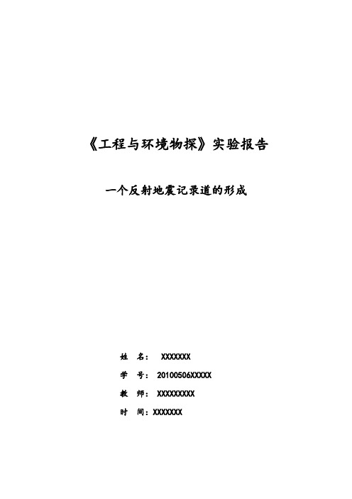 一个反射地震纪录道的形成