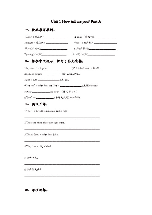 人教PEP版英语六年级下册各单元复习题及答案(全册)[精品]