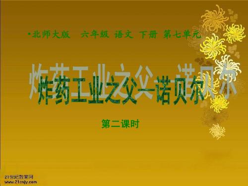 《炸药工业之父—诺贝尔  (第二课时)》PPT课件【www.edudown.net】