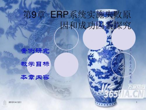 ERP第九章