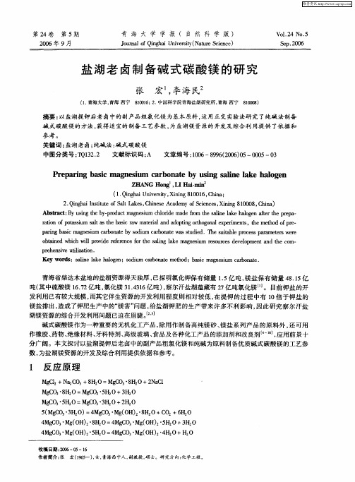 盐湖老卤制备碱式碳酸镁的研究
