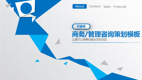 商务管理咨询策划PPT模板