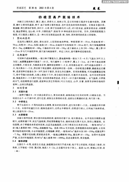 四棱豆高产栽培技术