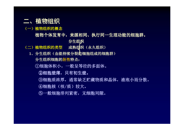 植物形态解剖1-2